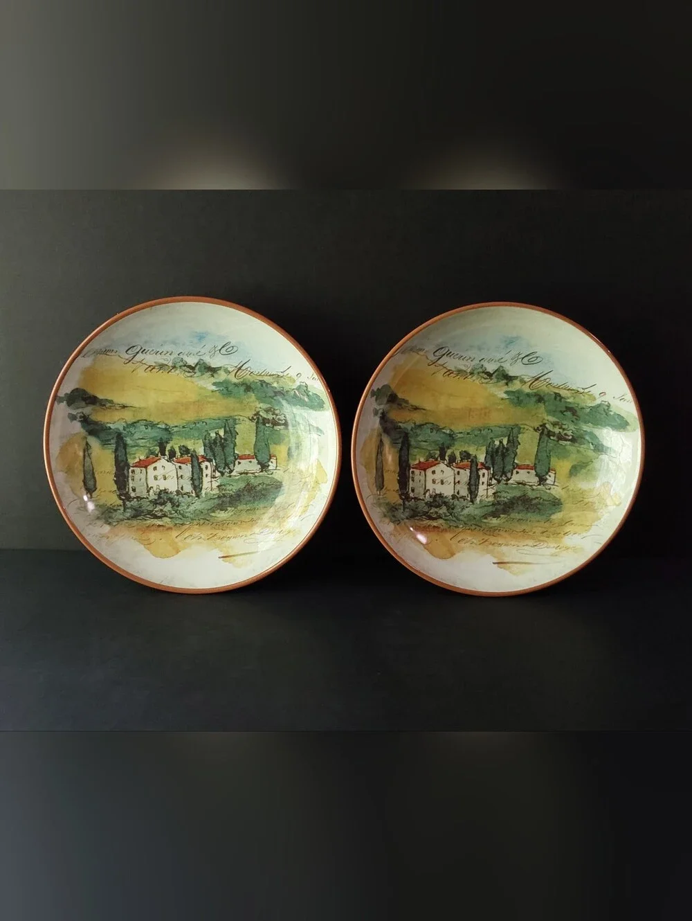 NEW Williams-Sonoma PAYSAGE SOUP/PASTA Bowls (2) 10